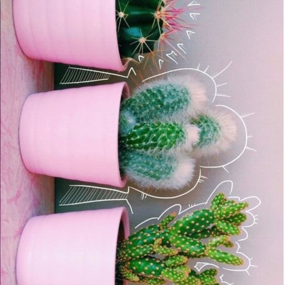 Meet your Posher, Alexa - Picture 1 of 1